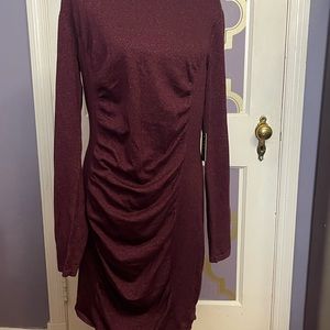 Sparkling Burgundy Dress